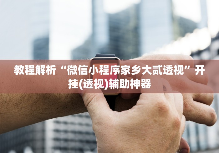 教程解析“微信小程序家乡大贰透视”开挂(透视)辅助神器