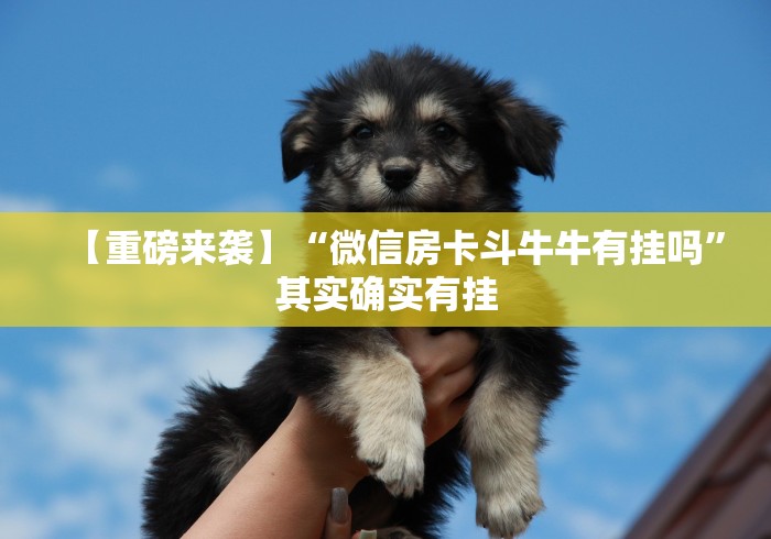 【重磅来袭】“微信房卡斗牛牛有挂吗	”其实确实有挂