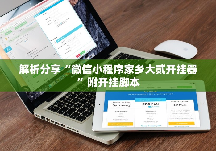 解析分享“微信小程序家乡大贰开挂器”附开挂脚本