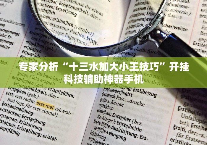 专家分析“十三水加大小王技巧”开挂科技辅助神器手机