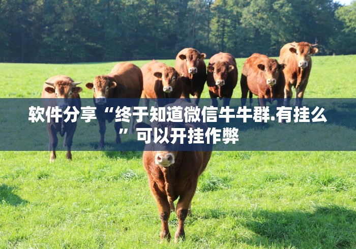 软件分享“终于知道微信牛牛群.有挂么”可以开挂作弊