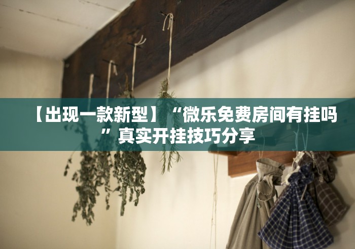 【出现一款新型】“微乐免费房间有挂吗”真实开挂技巧分享
