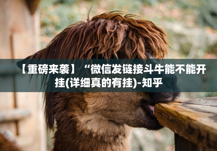 【重磅来袭】“微信发链接斗牛能不能开挂(详细真的有挂)-知乎 【重磅来袭】“微信发链接斗牛能不能开挂(详细真的有挂)-知乎