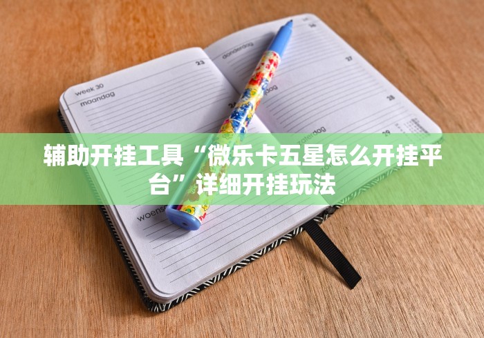辅助开挂工具“微乐卡五星怎么开挂平台”详细开挂玩法