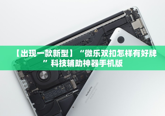【出现一款新型】“微乐双扣怎样有好牌”科技辅助神器手机版