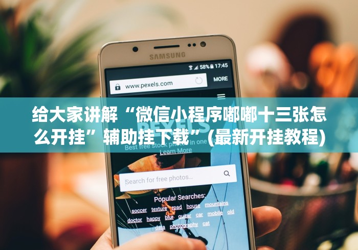 给大家讲解“微信小程序嘟嘟十三张怎么开挂	”辅助挂下载”(最新开挂教程)