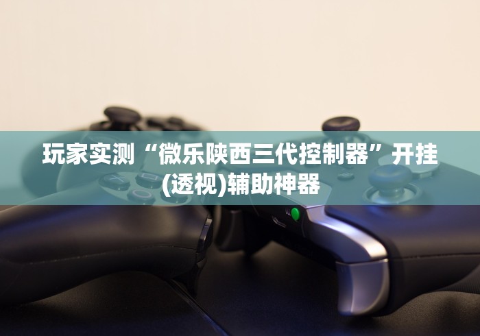 玩家实测“微乐陕西三代控制器	”开挂(透视)辅助神器
