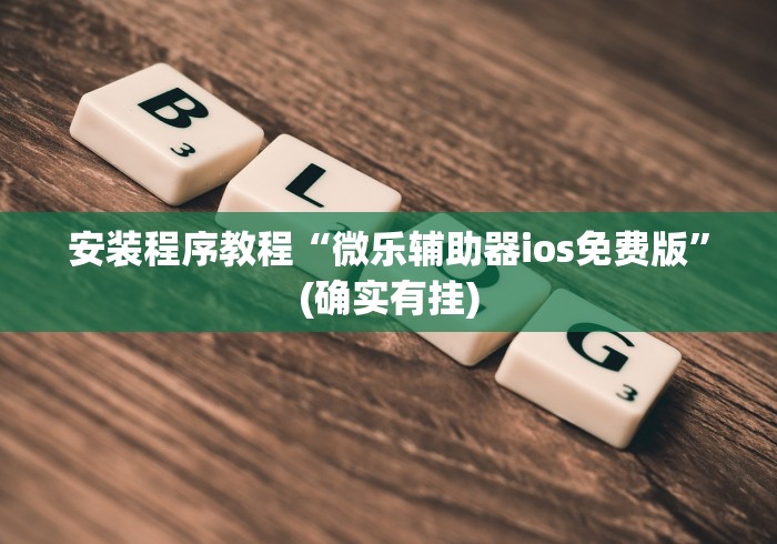 安装程序教程“微乐辅助器ios免费版”(确实有挂)