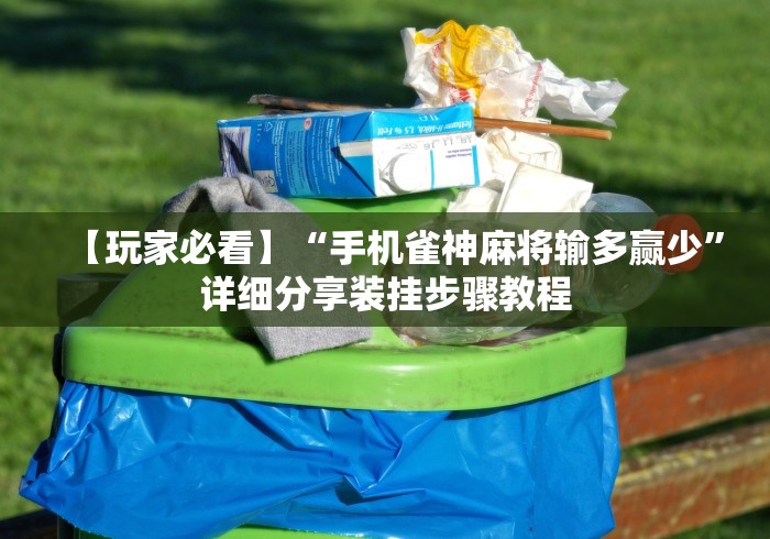 【玩家必看】“手机雀神麻将输多赢少”详细分享装挂步骤教程