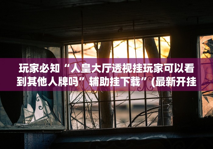 玩家必知“人皇大厅透视挂玩家可以看到其他人牌吗	”辅助挂下载”(最新开挂教程)
