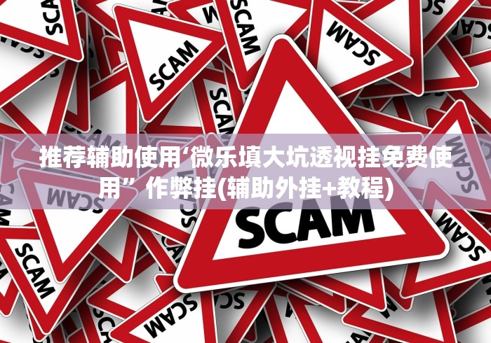 推荐辅助使用‘微乐填大坑透视挂免费使用”作弊挂(辅助外挂+教程)
