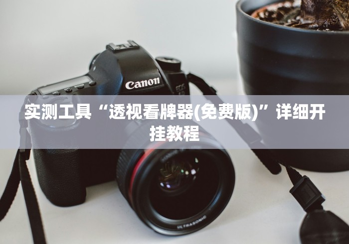 实测工具“透视看牌器(免费版)”详细开挂教程